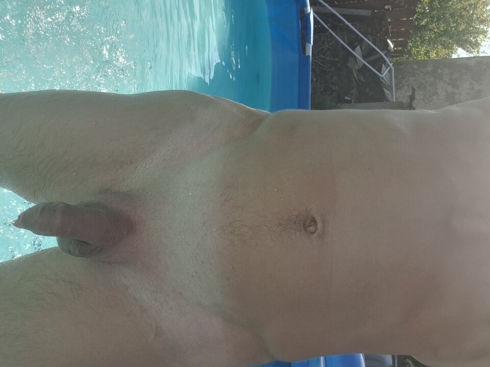 17253553628901534820823249295650.jpg - Bogus12nl