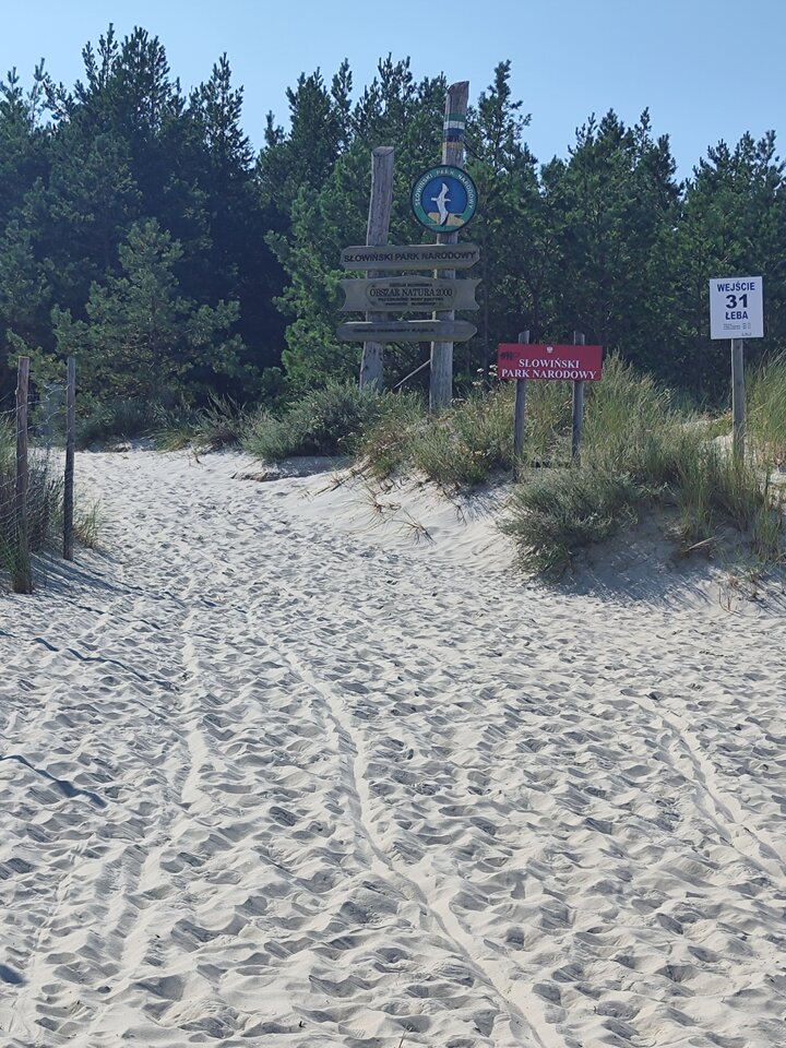 1000010142.jpg - tom6970