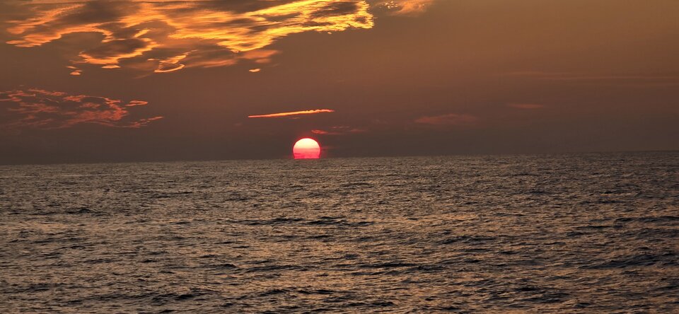 1000015514.jpg - misiek741