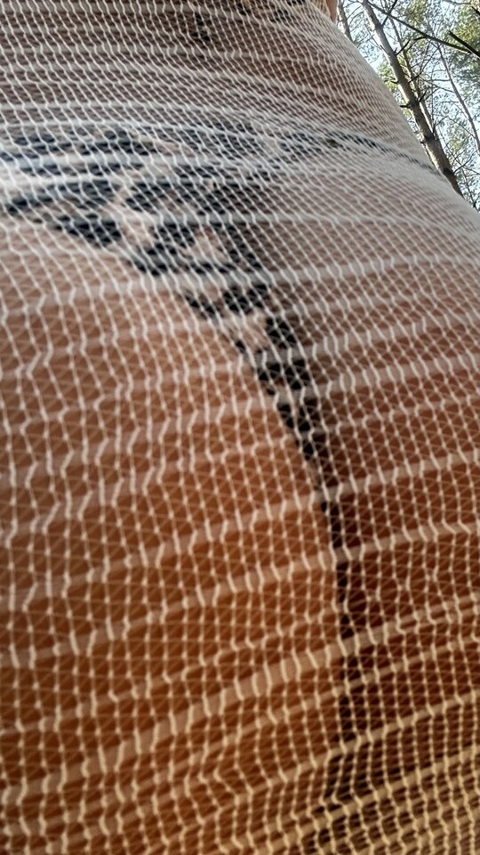 IMG_0834.jpeg - monia224