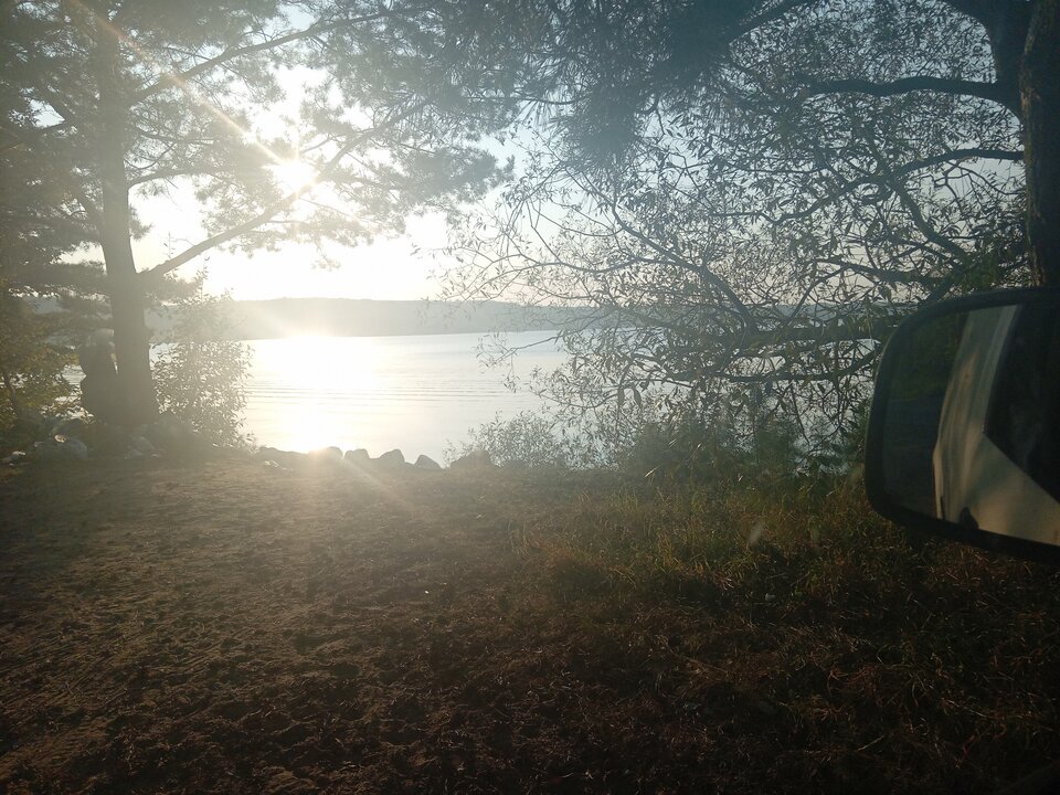 Ktos moze nad jeziorkiem żarnowiec... - Przystojniak5