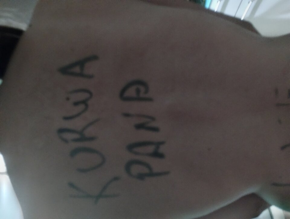 IMG_20240903_224057985.jpg - paraSc95