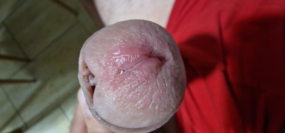 17254191465191311455858522751894.jpg - robin266