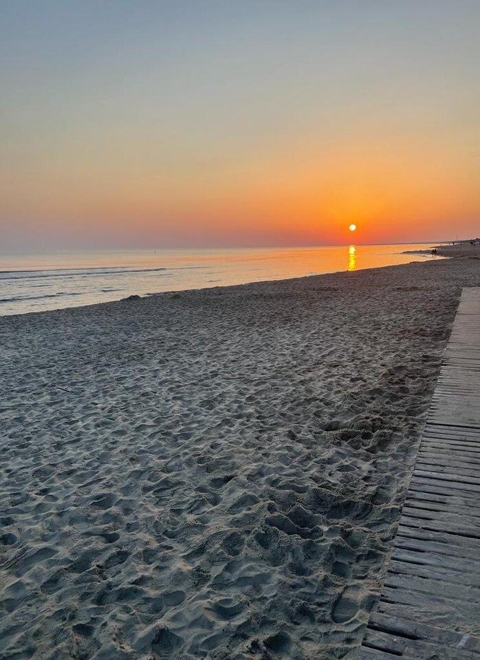 20240904_111008.jpg - harryraider