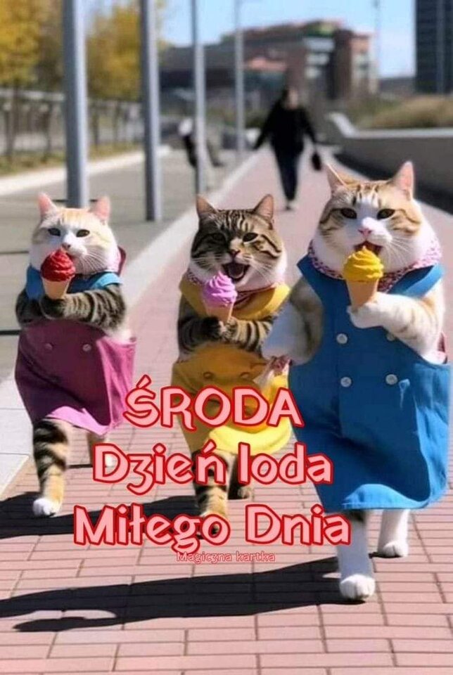 IMG-20240904-WA0003.jpg - WESOLAWDOWKA