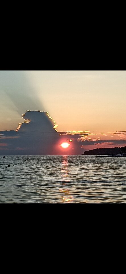 Screenshot_2024-09-04-20-38-06-225_com.google.android.apps.photo - AdamiEwa85