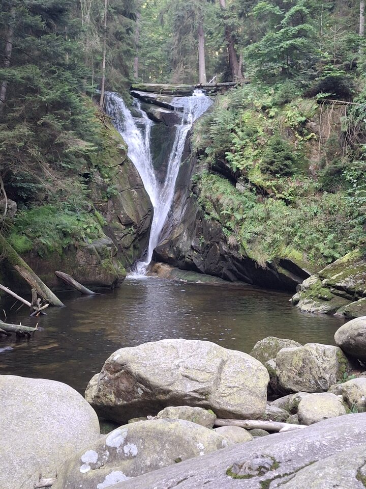 IMG-20240904-WA0020.jpg - Franekzewsi