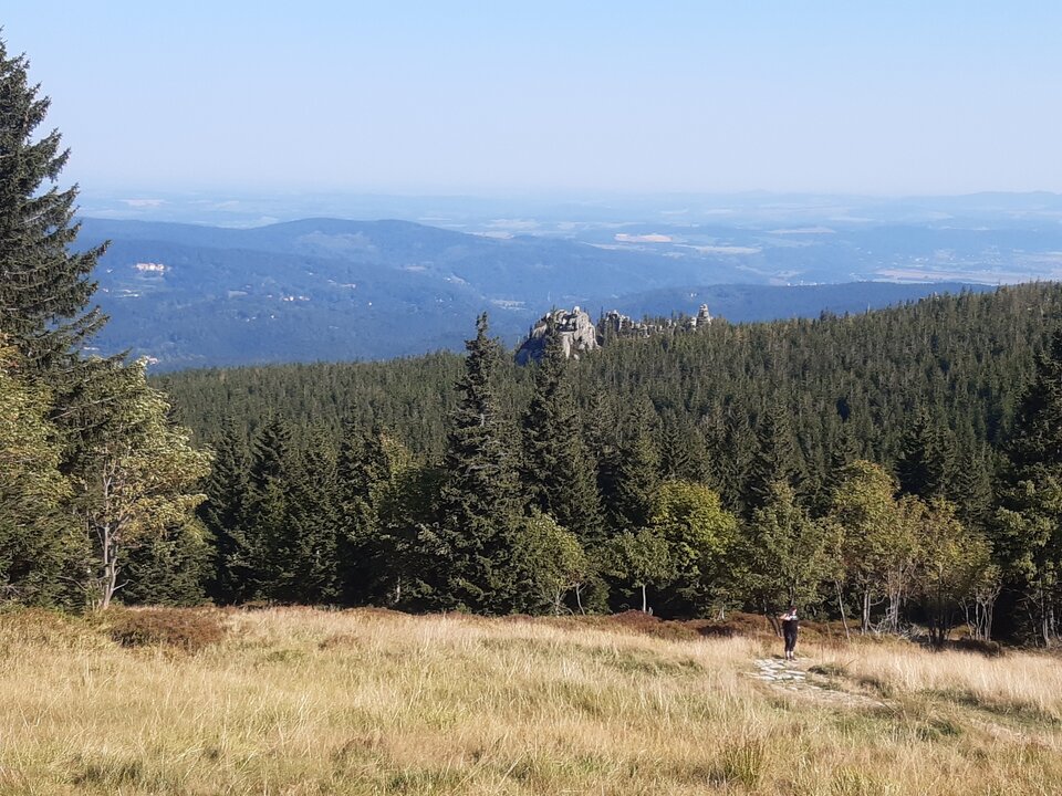 20240904_110457.jpg - Franekzewsi