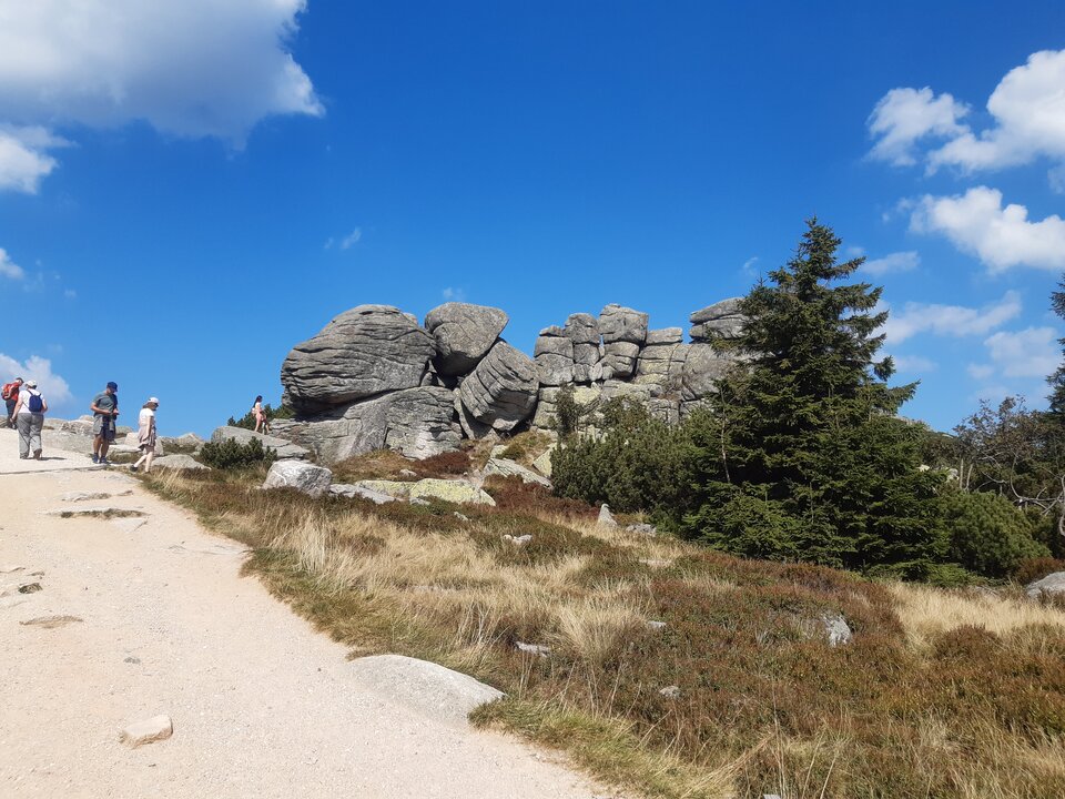 20240904_130030.jpg - Franekzewsi