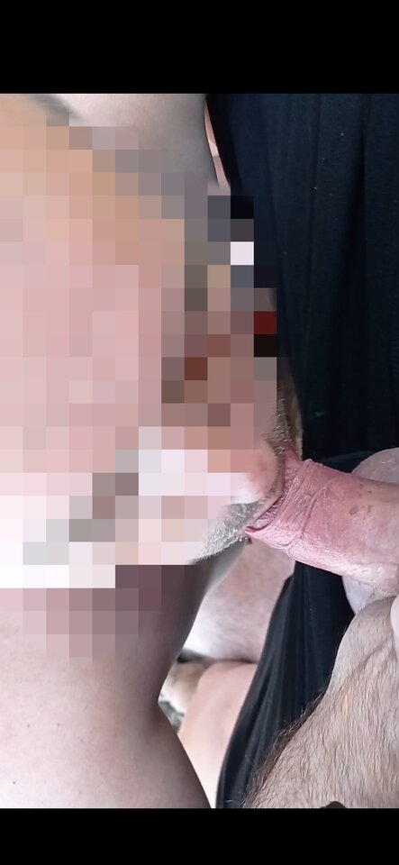 IMG_20240905_055447.jpg - Misiek78Zs