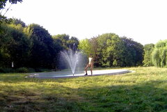 20240905_092944A.mp4_snapshot_01.15.524.jpg
