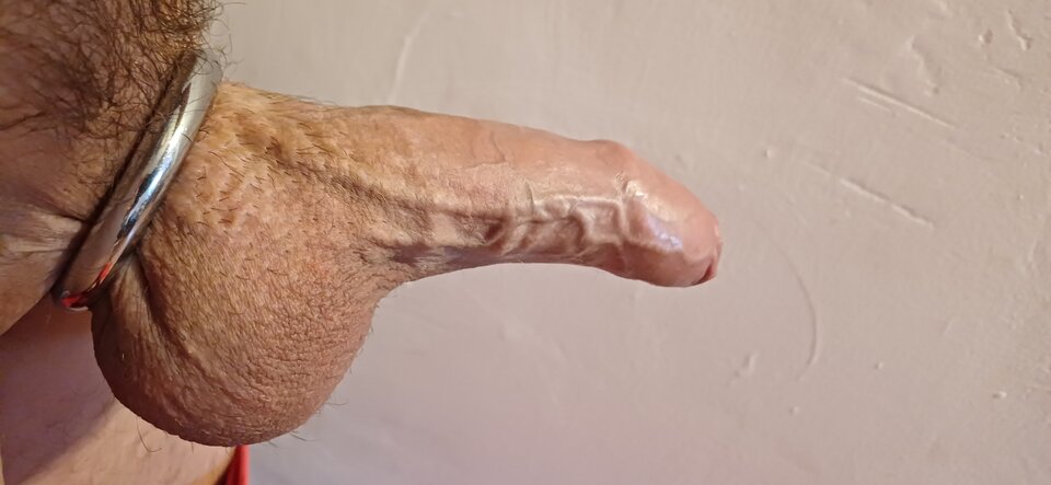 1000004237.jpg - Fiutkutaschujjaja