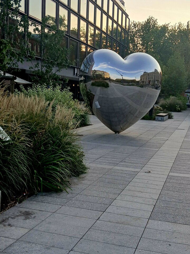 20240905_184228.jpg - Tajemnicza333