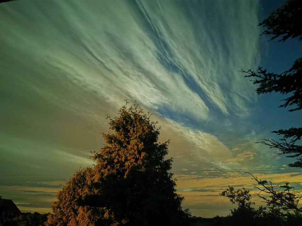 IMG_20210527_013107.jpg - Tomanob2b