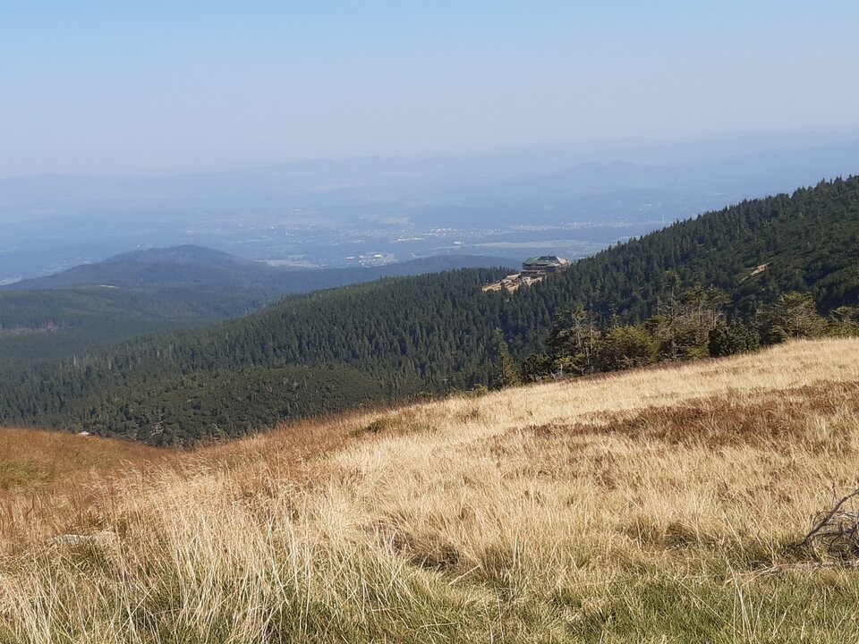 20240906_112112.jpg - Franekzewsi