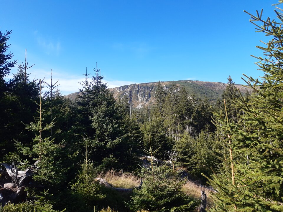 20240906_101050.jpg - Franekzewsi