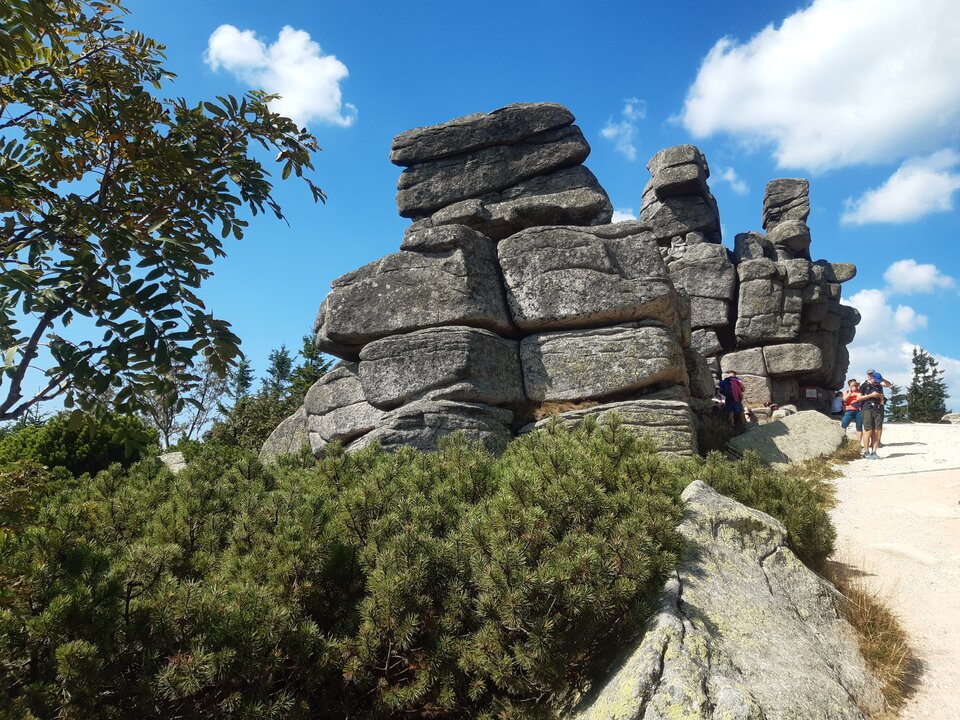 20240904_130033.jpg - Franekzewsi