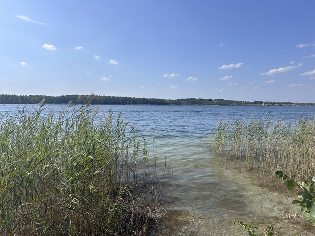 mwawrowski