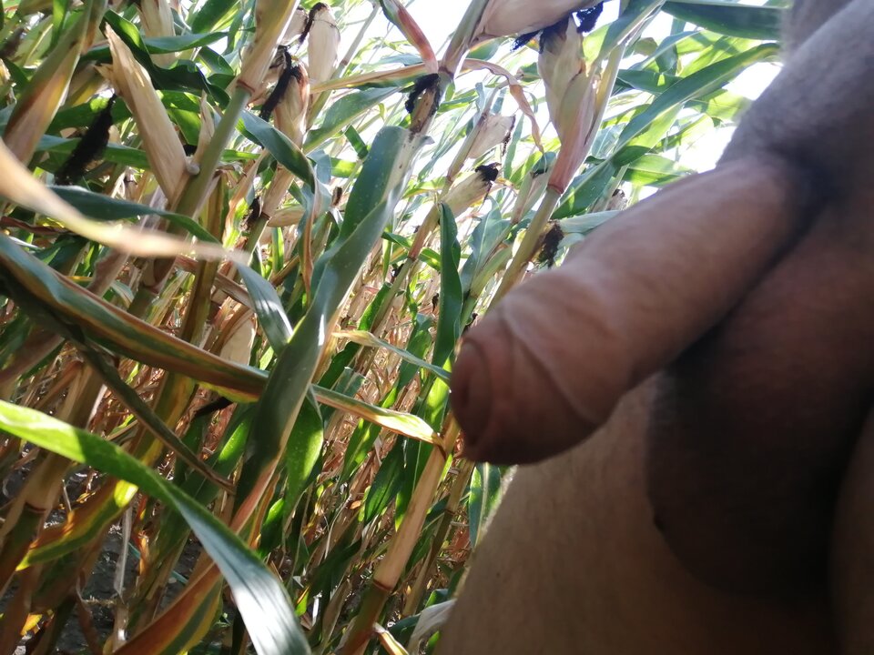 IMG_20240907_155922.jpg - fokuse52