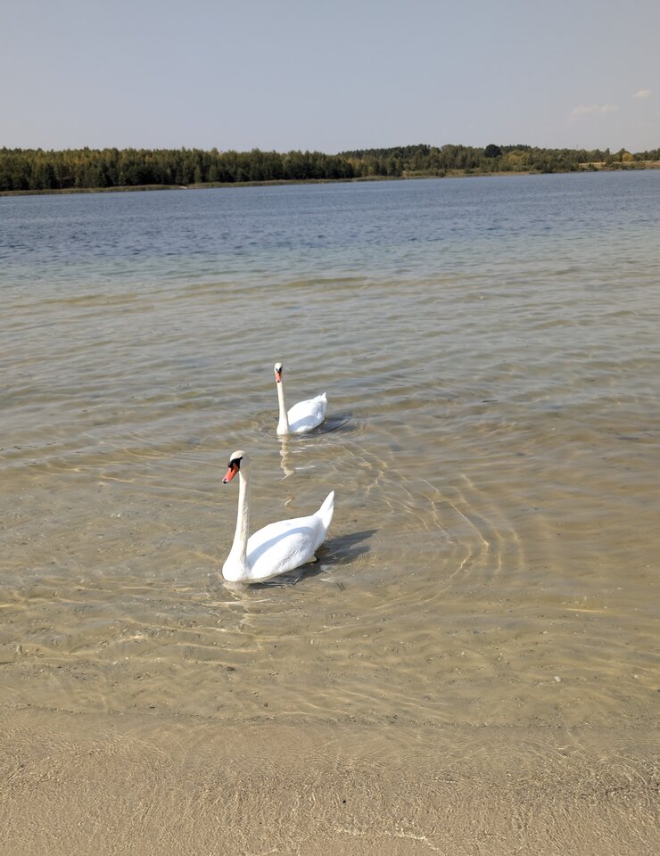 1000007722.jpg - para302