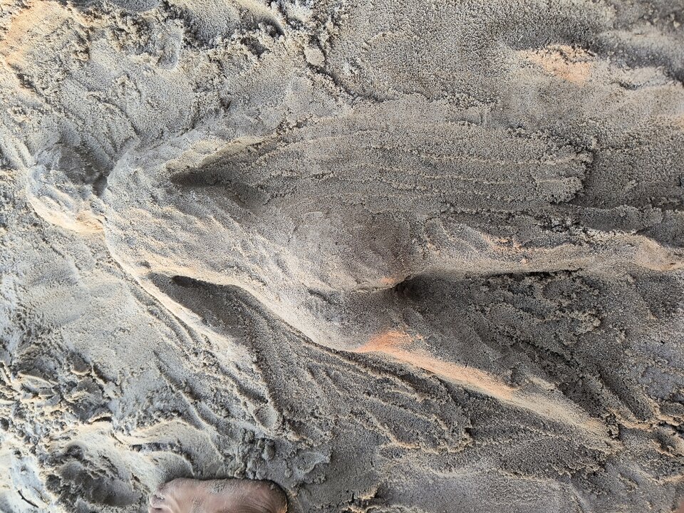 Babka z piasku 😝 - Pitulinscy