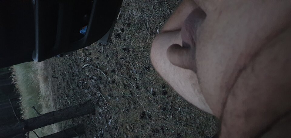 17257311773414727873825743582749.jpg - LickPussyEveryday