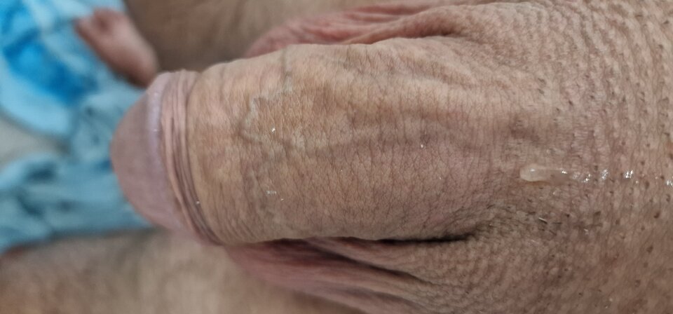 17257422756161049824080663052450.jpg - robin266