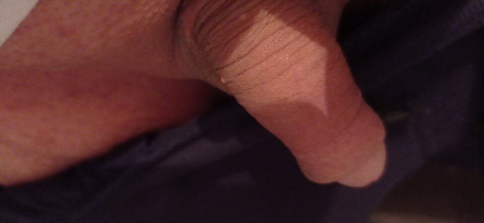 IMG_20240907_223900.jpg - Misiek78Zs