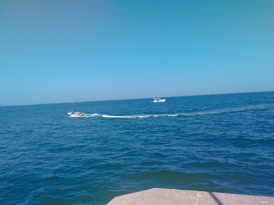 1000005390.jpg - 22zawieja