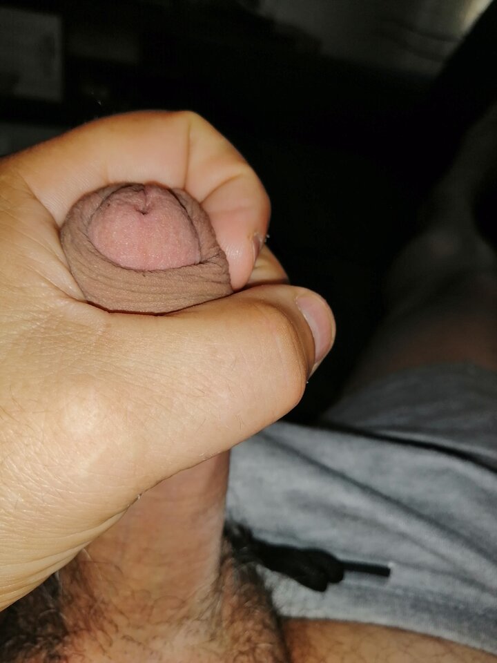 IMG_20240908_082619.jpg - kolega50