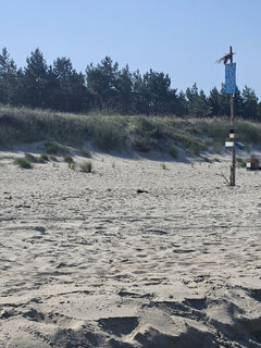 Dotarliśmy- Piaski 2024🫠