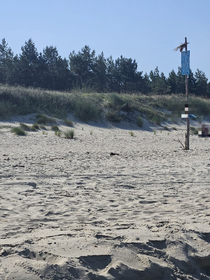 Dotarliśmy- Piaski 2024🫠 - Kulfon_i_Monika