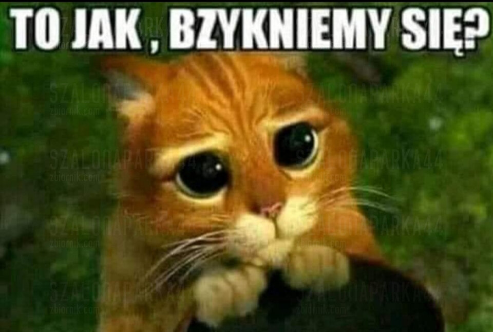 🤔 - SzalonaParka44