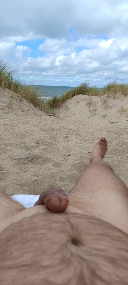 1000022202.jpg - bi79bi