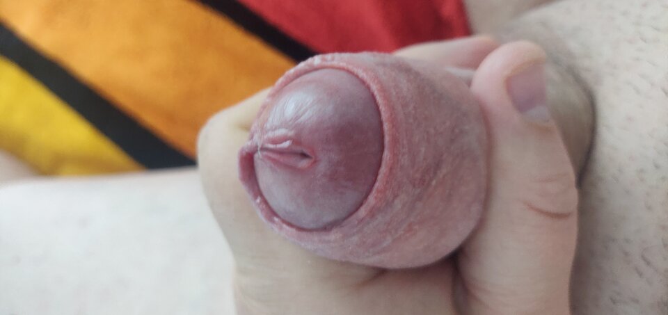 IMG_20240908_153508.jpg - fajnykutasek25