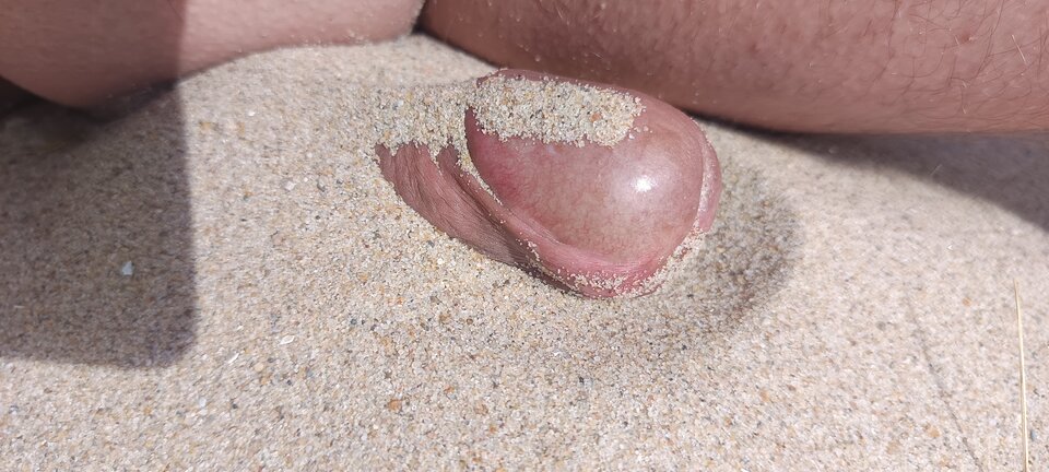 1000022216.jpg - bi79bi