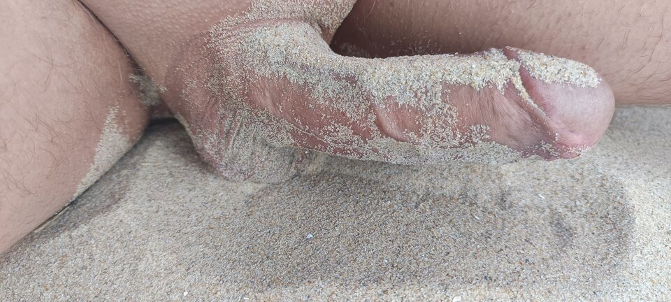 1000022219.jpg - bi79bi