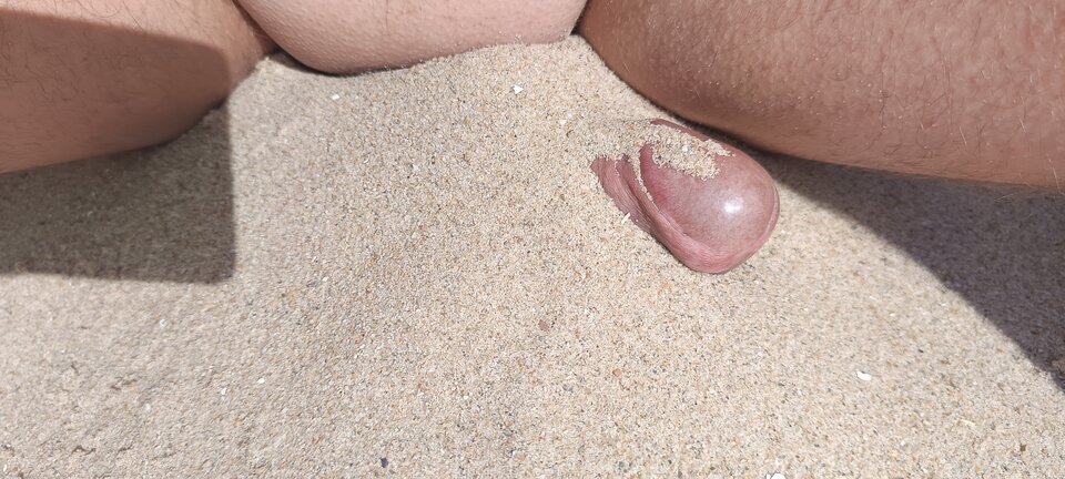 1000022215.jpg - bi79bi