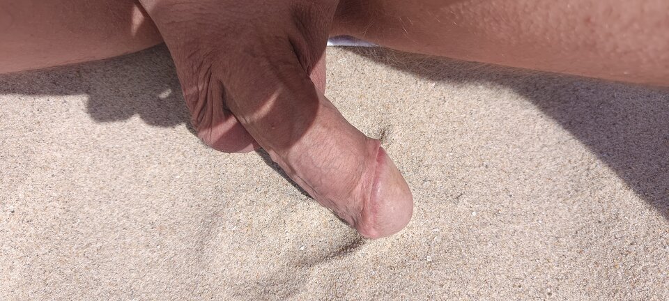 1000022213.jpg - bi79bi