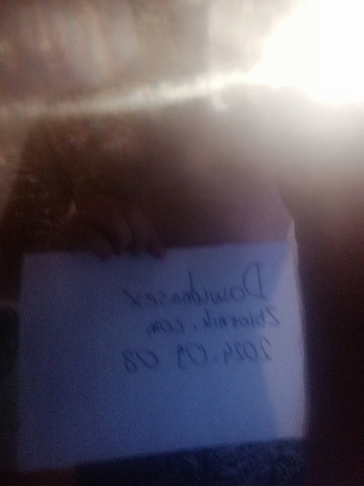 IMG_20240908_191152.jpg - Dawidnasex