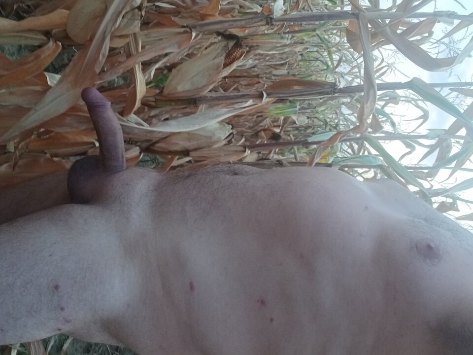 20240908_190508.jpg - Wpja