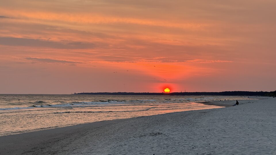 IMG_9905.jpeg - parapozna12