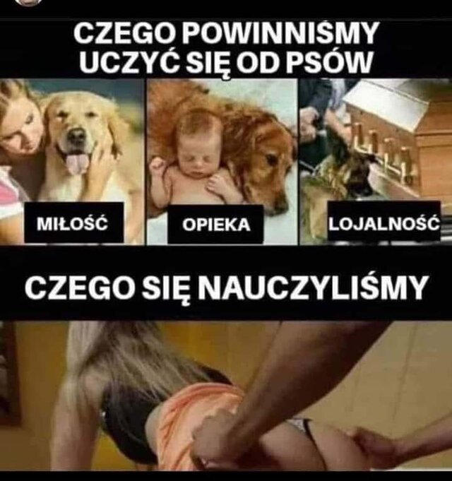 szpadyzorny