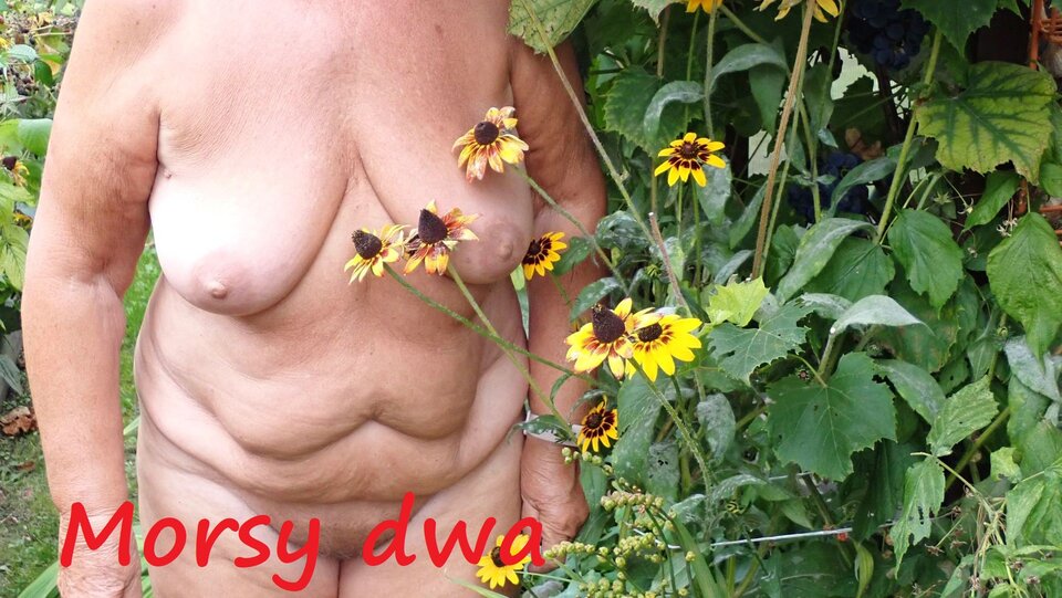 Plener. - Morsy_dwa
