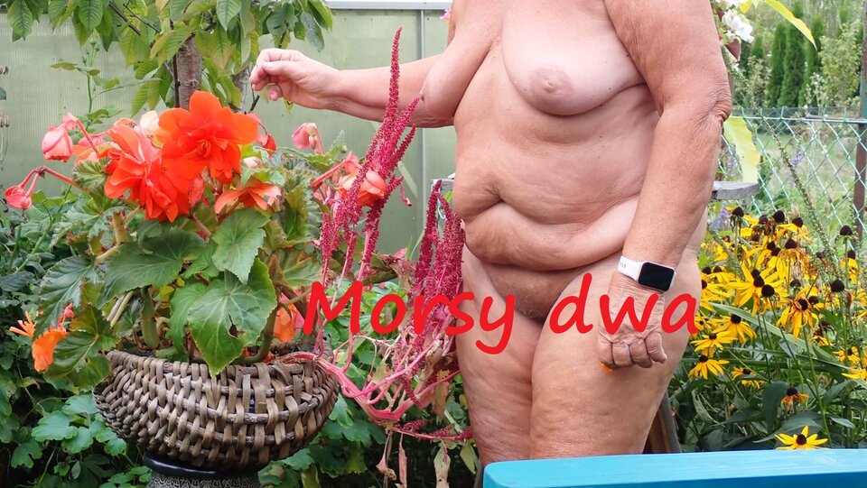 Plener. - Morsy_dwa