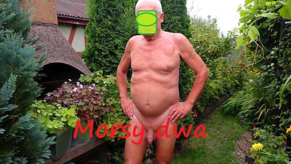 Plener. - Morsy_dwa