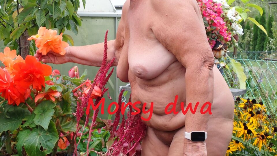 Plener. - Morsy_dwa