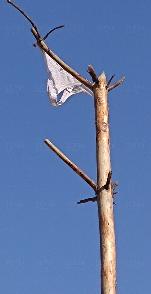 Pozdrawiamy parę opalającą się obok nas 😉 - SSSpara