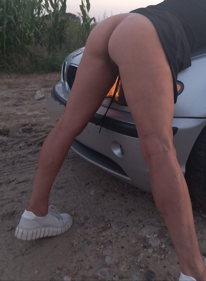 1000017523.jpg - Elibar11