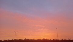 IMG_20240910_053634.jpg